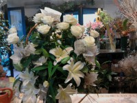 /album/galleria-foto-bouquet/a2011-10-11-17-12-16-jpg/